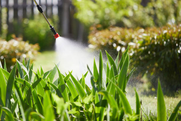 24/7 Emergency Ant Control experts in Nashville, IL