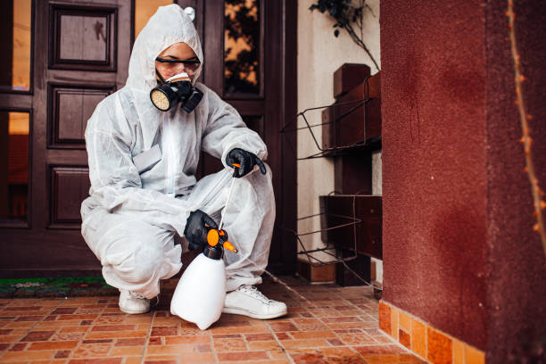 Reliable Ant Control contractor in Nashville, IL by Nex Pest Control