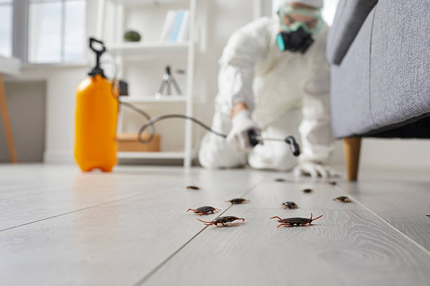 Trusted Mosquito Control service in Nashville, IL - Nex Pest Control
