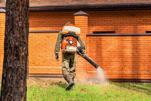 Trusted Bed Bug Control service in Nashville, IL - Nex Pest Control